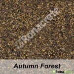 image of ronadeck resin bound surfacing autumn forest