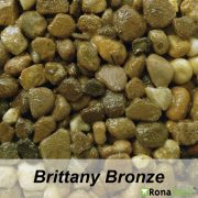 brittany-bronze