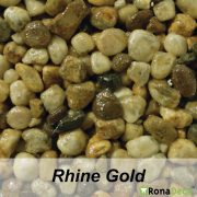 rhine-gold