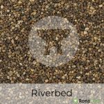 riverbed 2