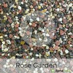 rose garden 2